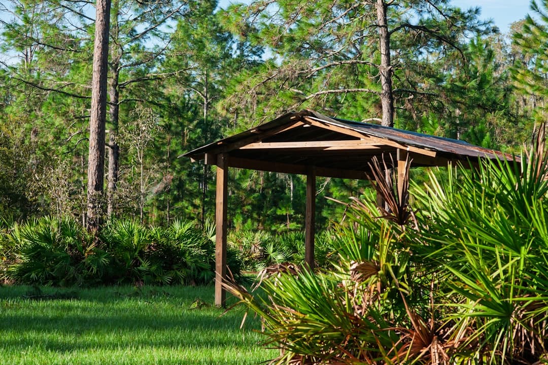 Rural Florida landscape with farmland and homes representing USDA loan eligible areas