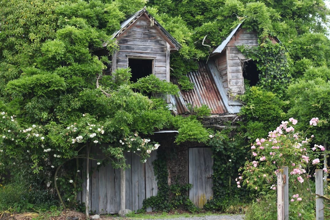Illustration of an old mortgage document resurfacing as a zombie debt threat in Florida